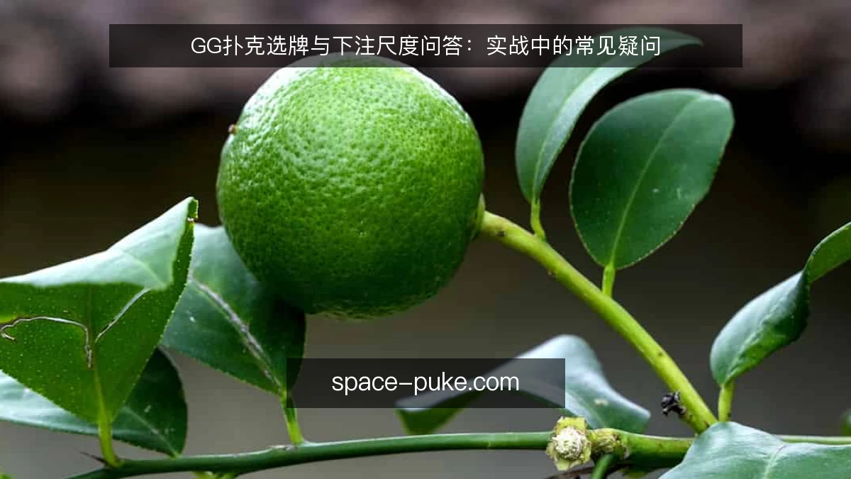 GG扑克选牌与下注尺度问答：实战中的常见疑问