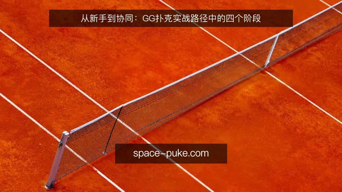 从新手到协同:GG扑克实战路径中的四个阶段