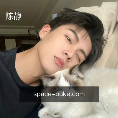 陈静